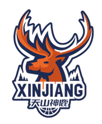 新疆天山女篮logo